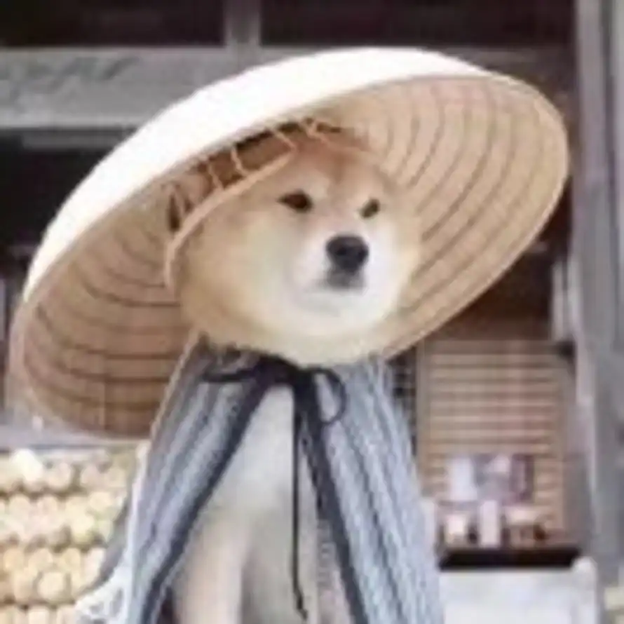 藤原拖孩儿的头像