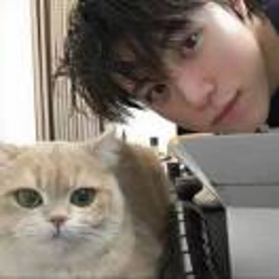 不做梵高的头像