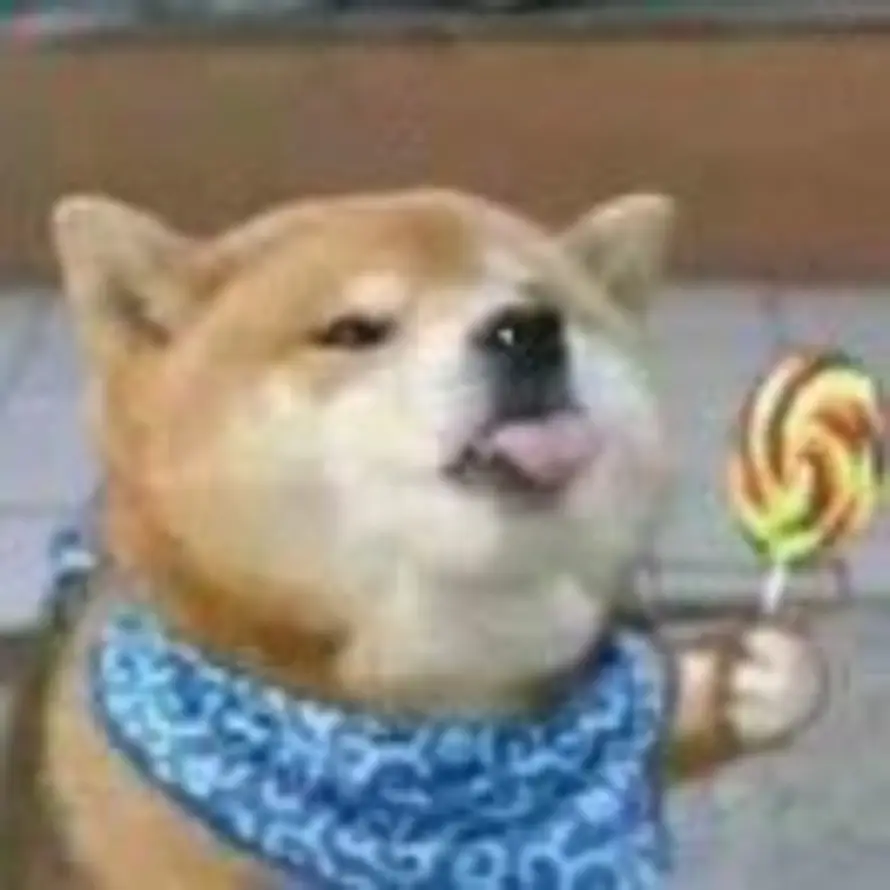 小鲤鱼历险记的头像