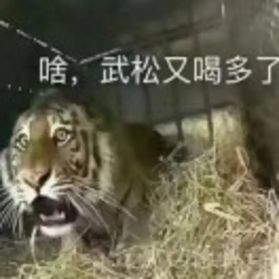 懵逼虎的头像
