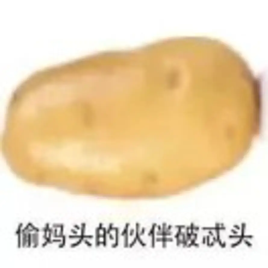 薯味姜豆的头像