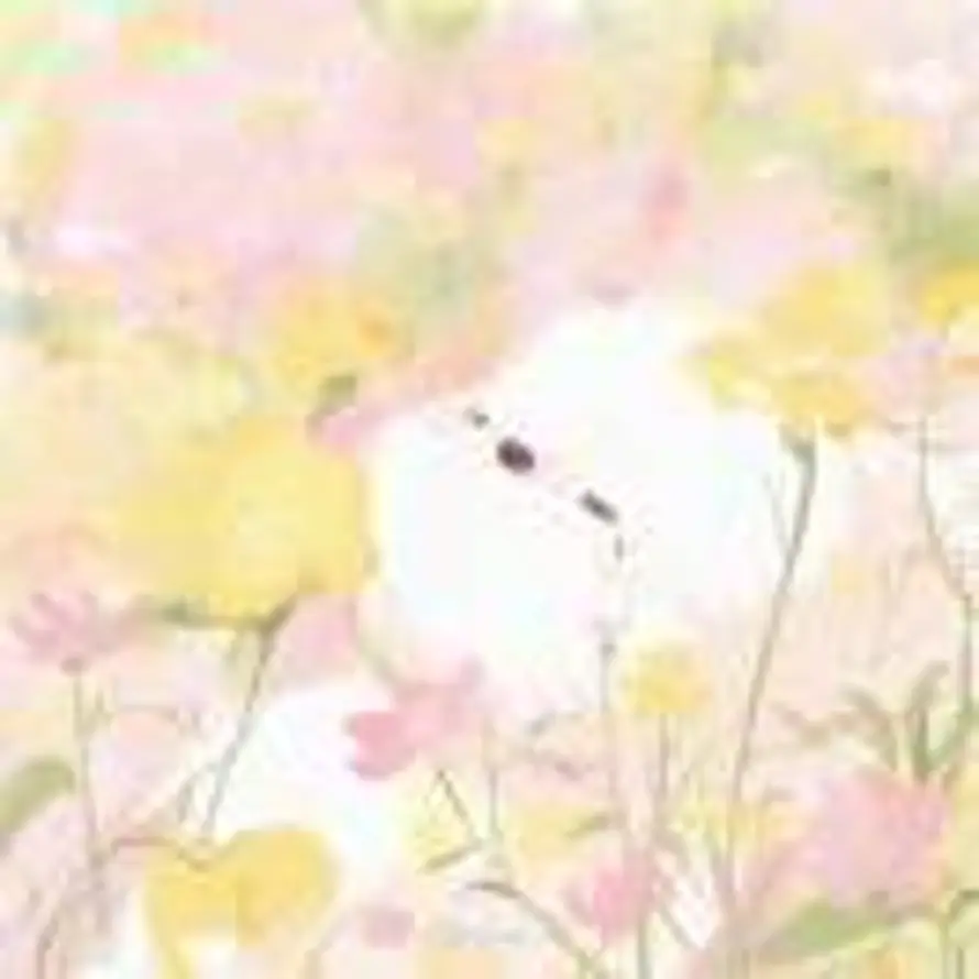 酒酿桂花小汤圆的头像