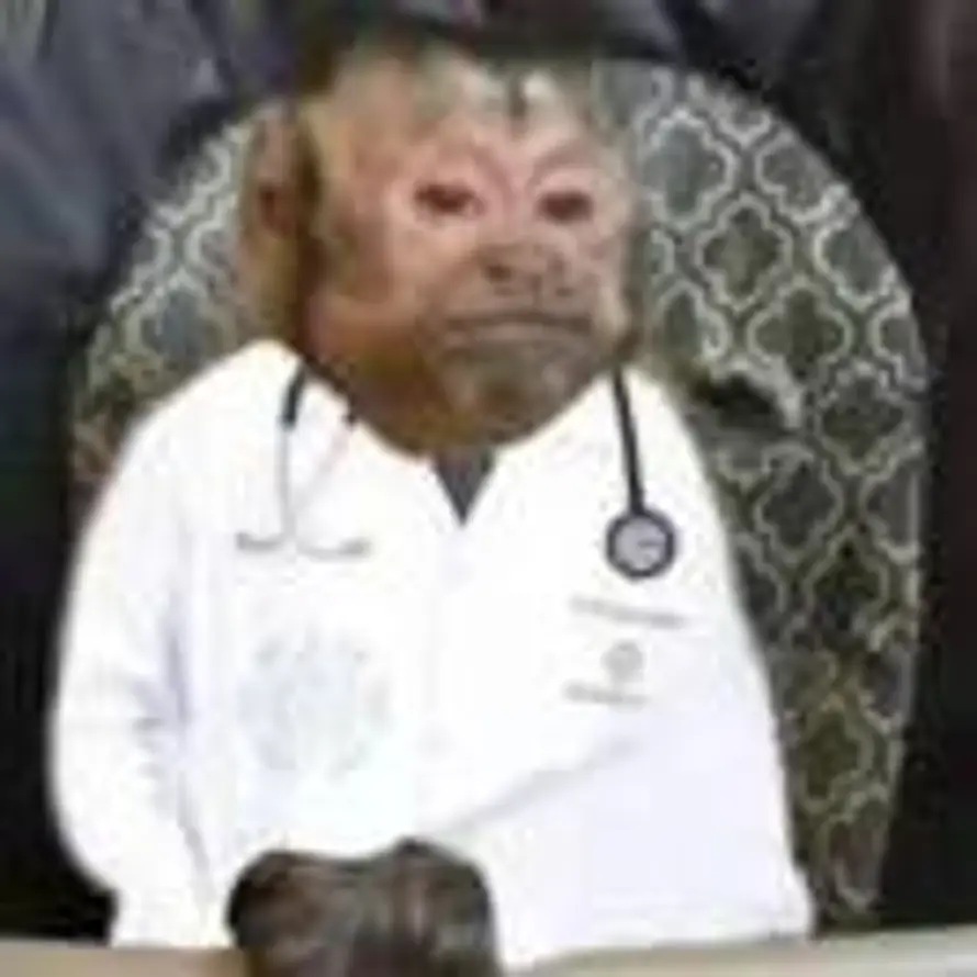 川的头像