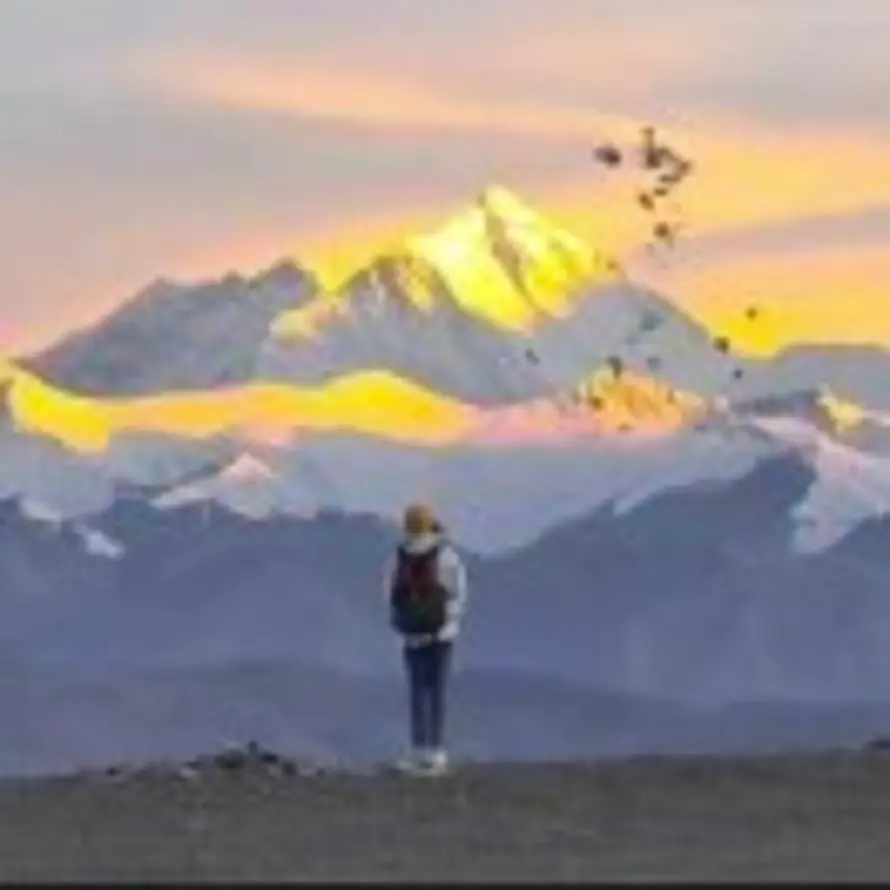 无敌暴龙神的头像