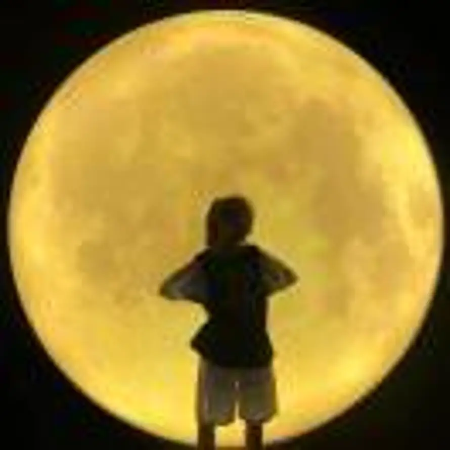 史蒂芬周的头像