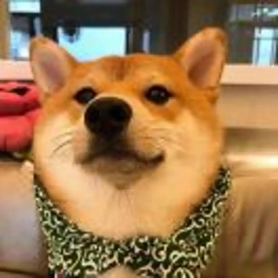 月白的头像