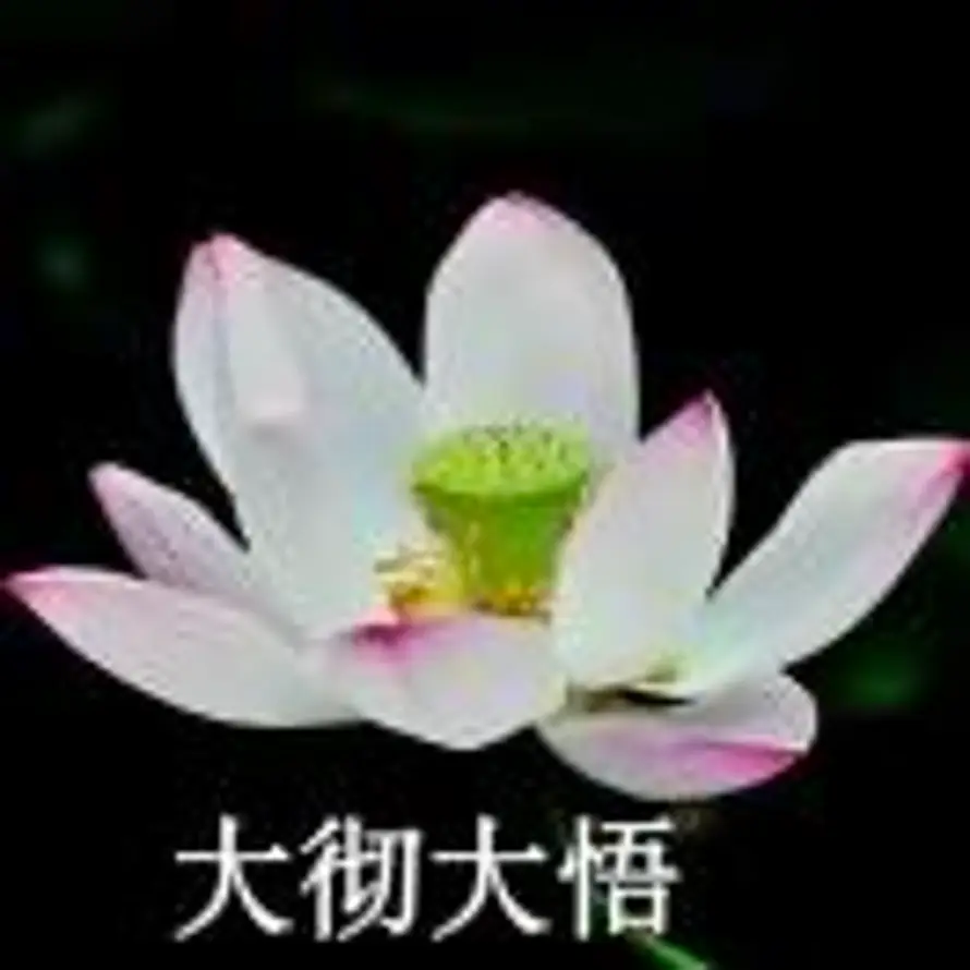 乌鸦的头像