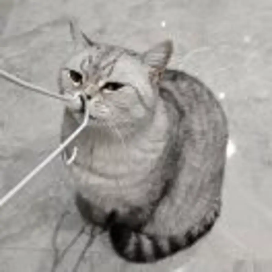 Eason的头像