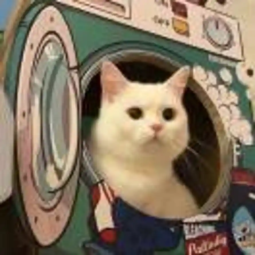 墨雾枫🐾🐾的头像