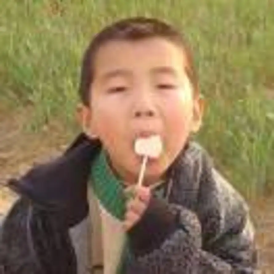 就是顺泰的头像