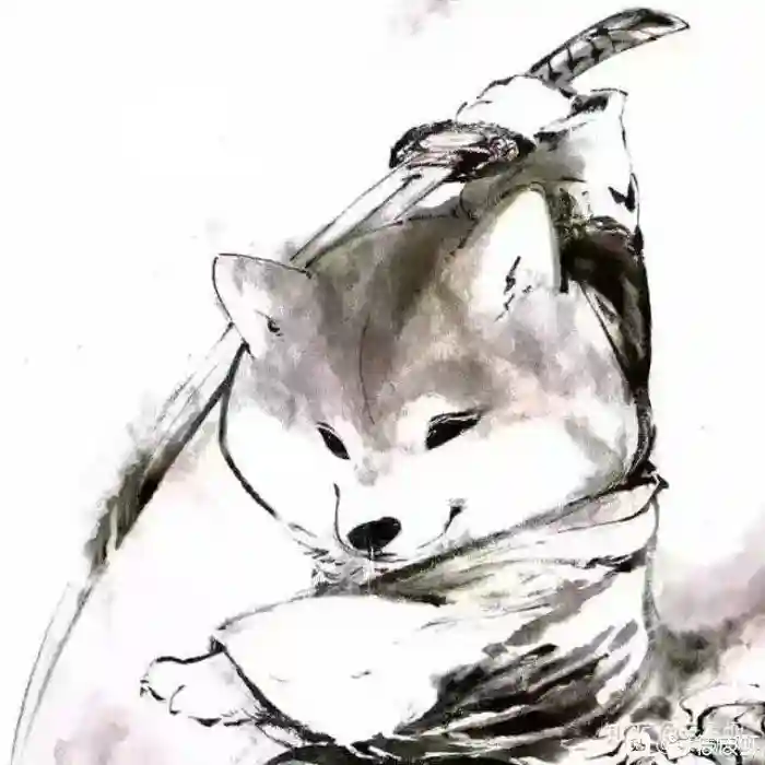 用户壁纸控的头像