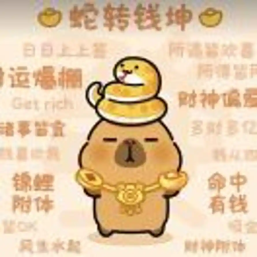 卡皮巴拉的头像