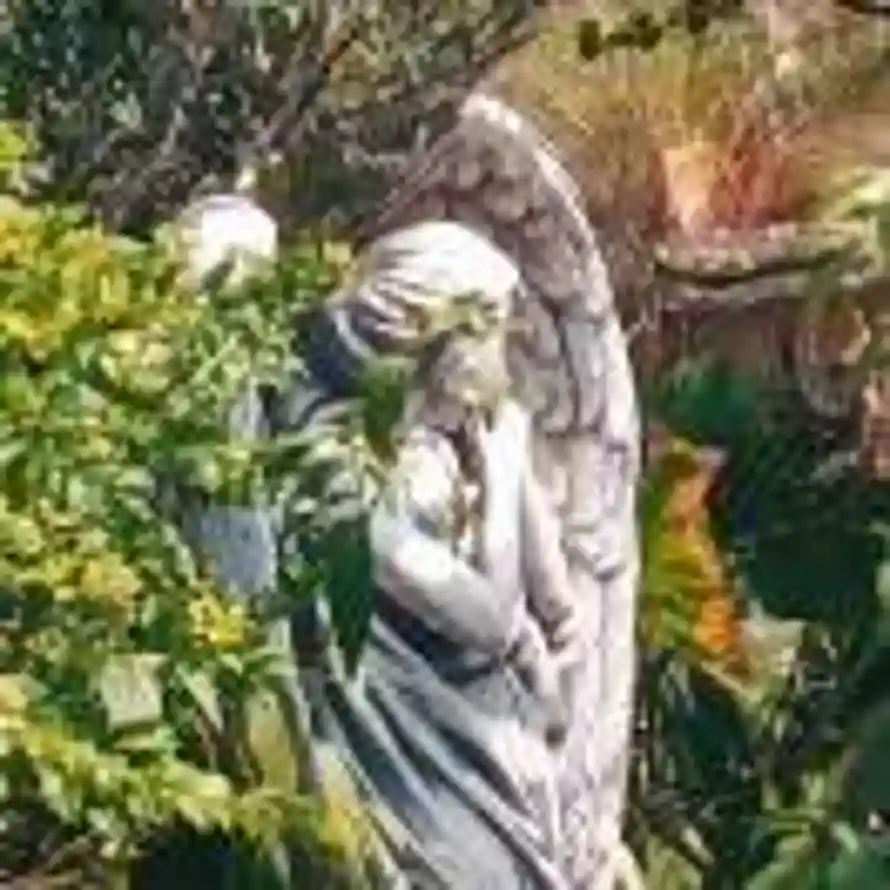 头像太文雅了怎么办？的头像