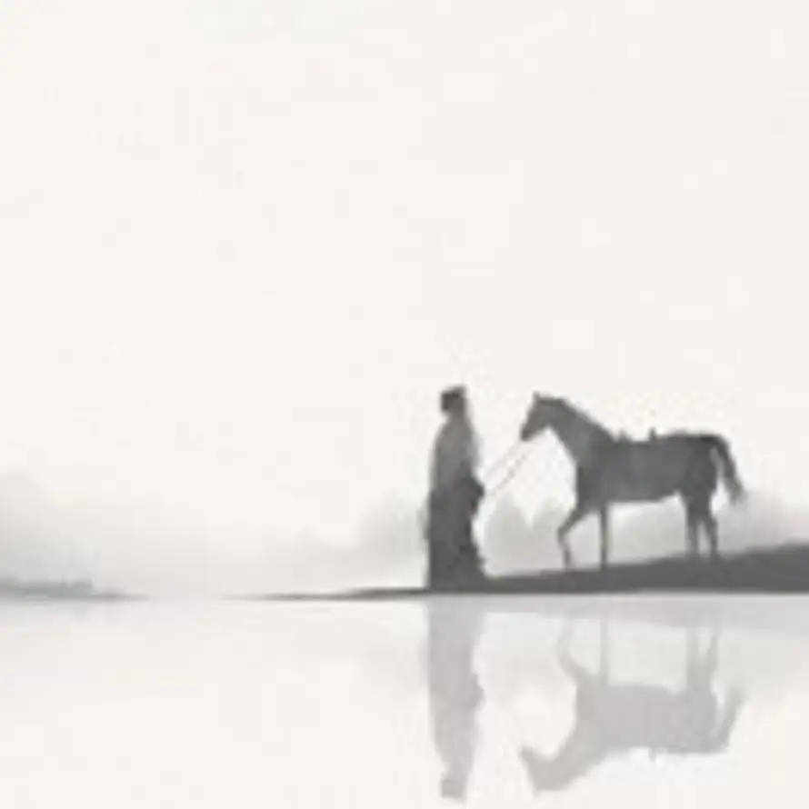 他山落雨的头像