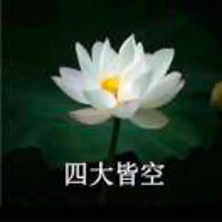 须臾的头像