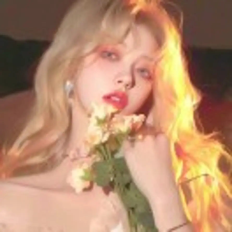 Lavande🌟的头像