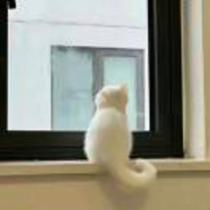 李晒的头像