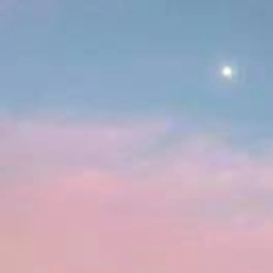 无风&留晴的头像