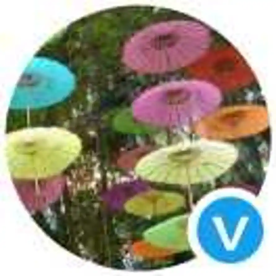 米线不过桥的头像