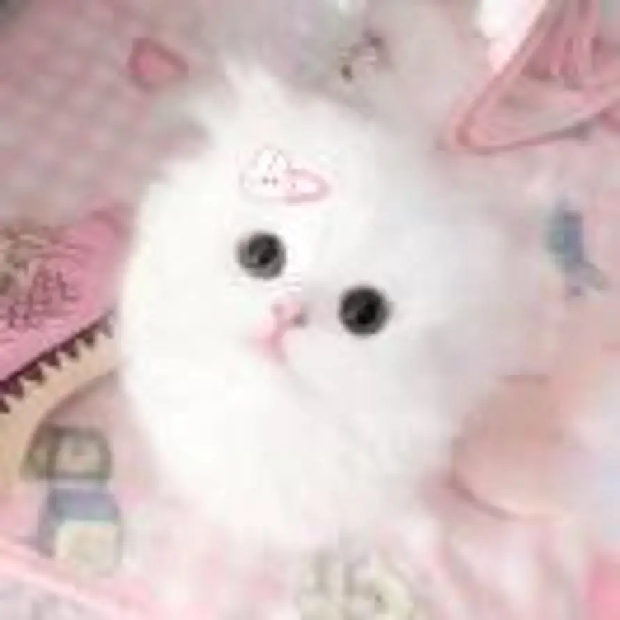 Owoiil的头像
