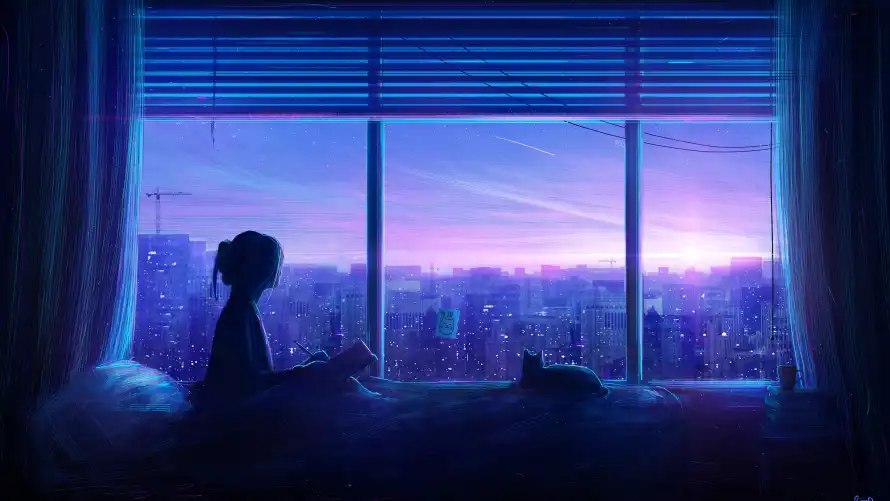 4k夜景壁纸 - 猫 - 女孩 - 窗边「哲风壁纸」