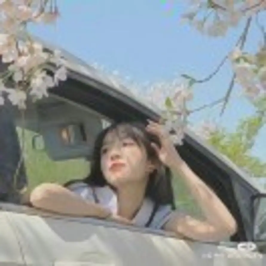 Yu的头像