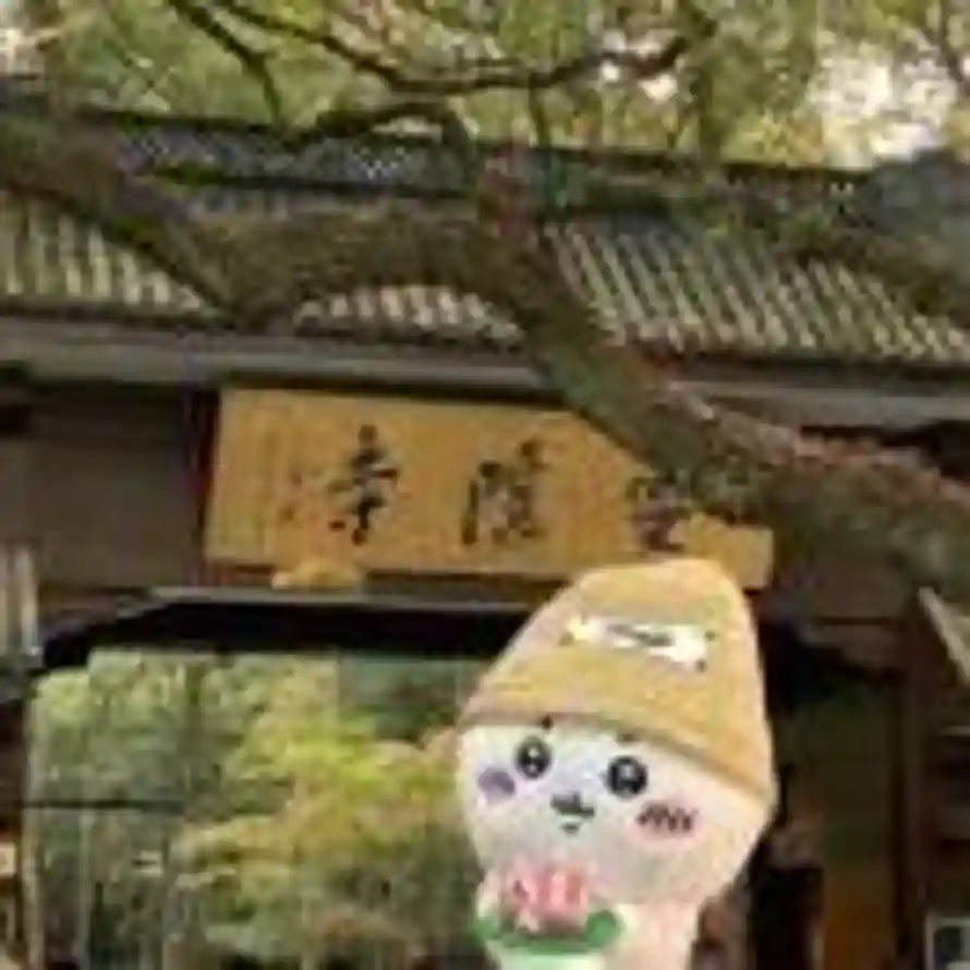 zᶻ的头像