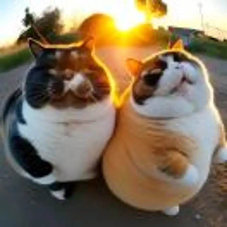 Mᴇᴇᴛᝰ.的头像