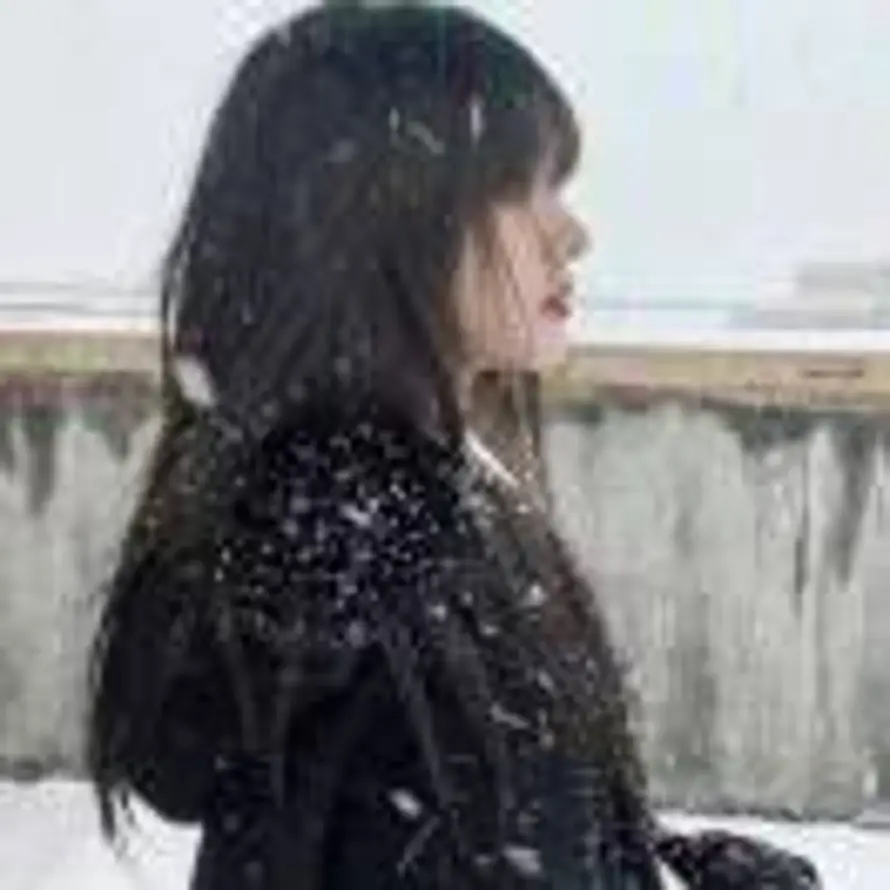 猫在睡午觉的头像