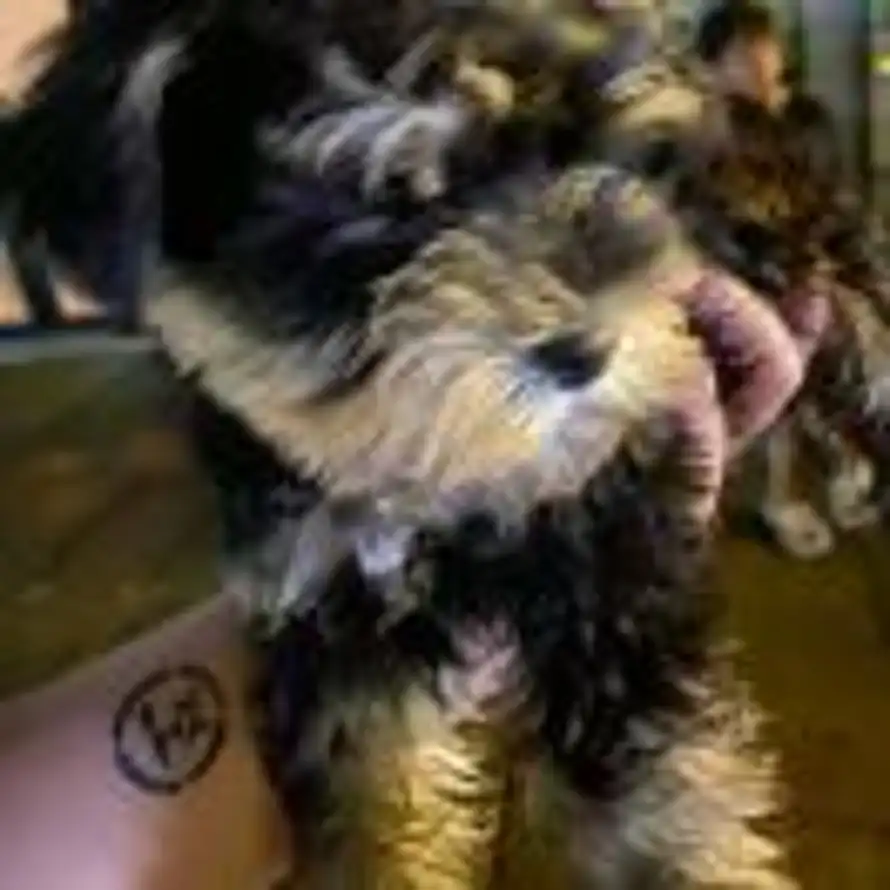 A.C.T77-在等冬天的头像