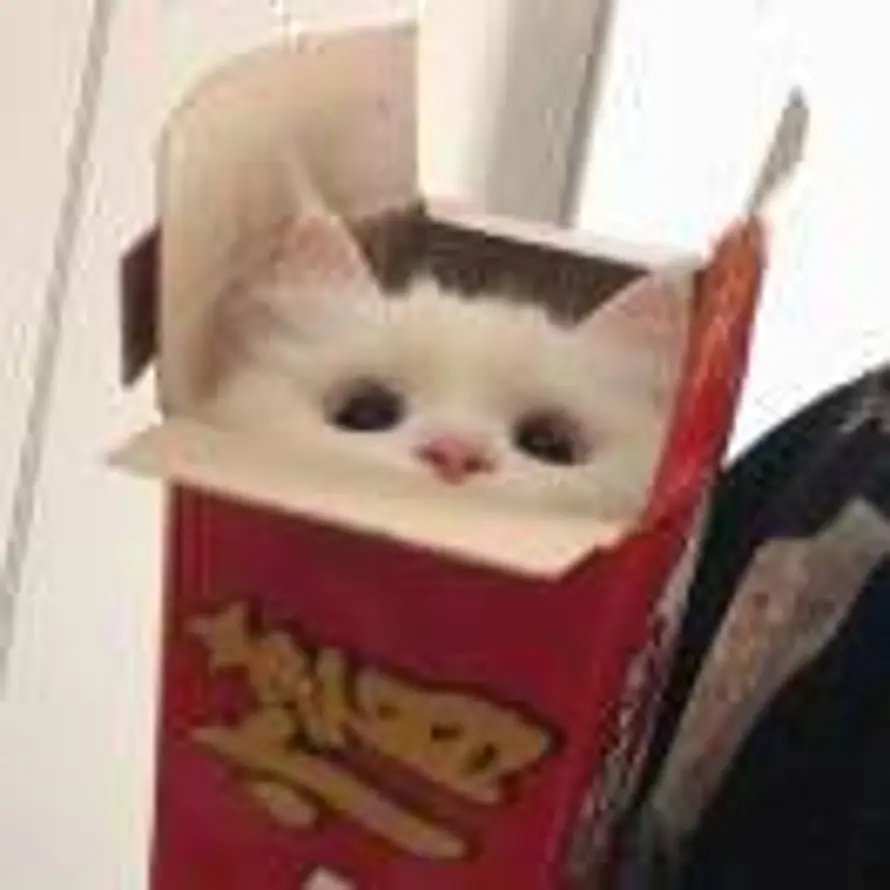 起风了的头像
