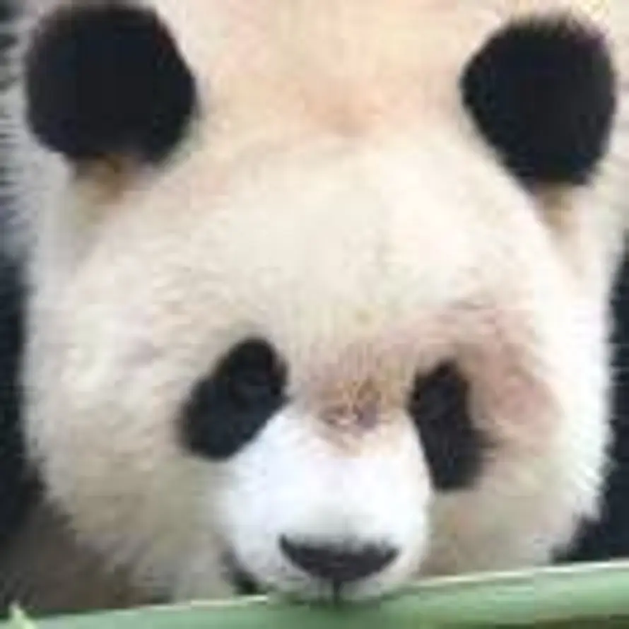 唐殊__的头像