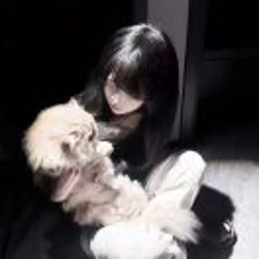 🧸的头像