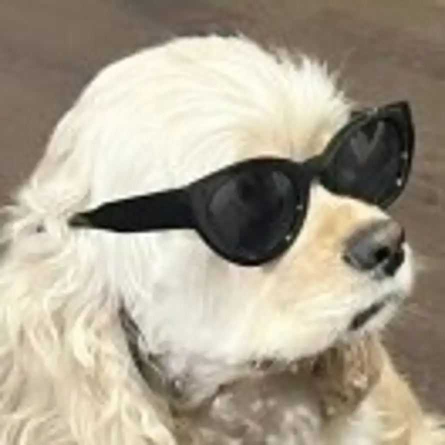 懒虫小柒的头像