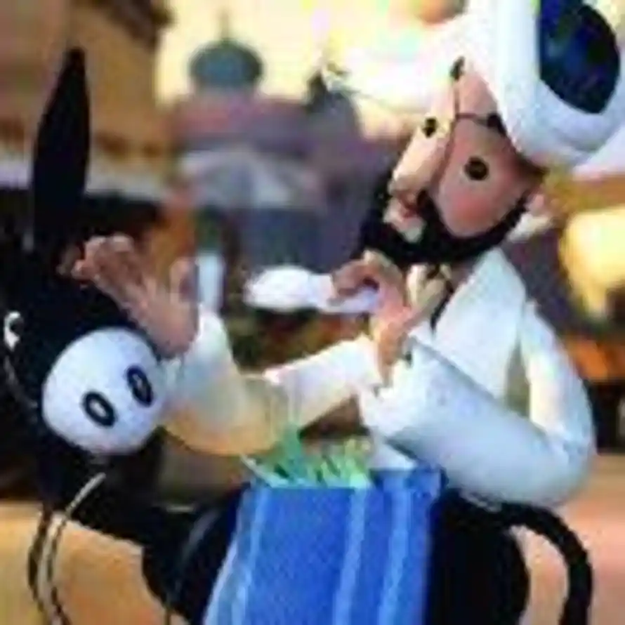 Mr.阿帆提 ๑҉的头像