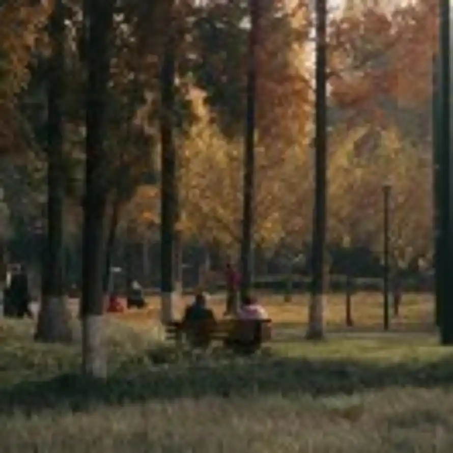 番茄面条的头像