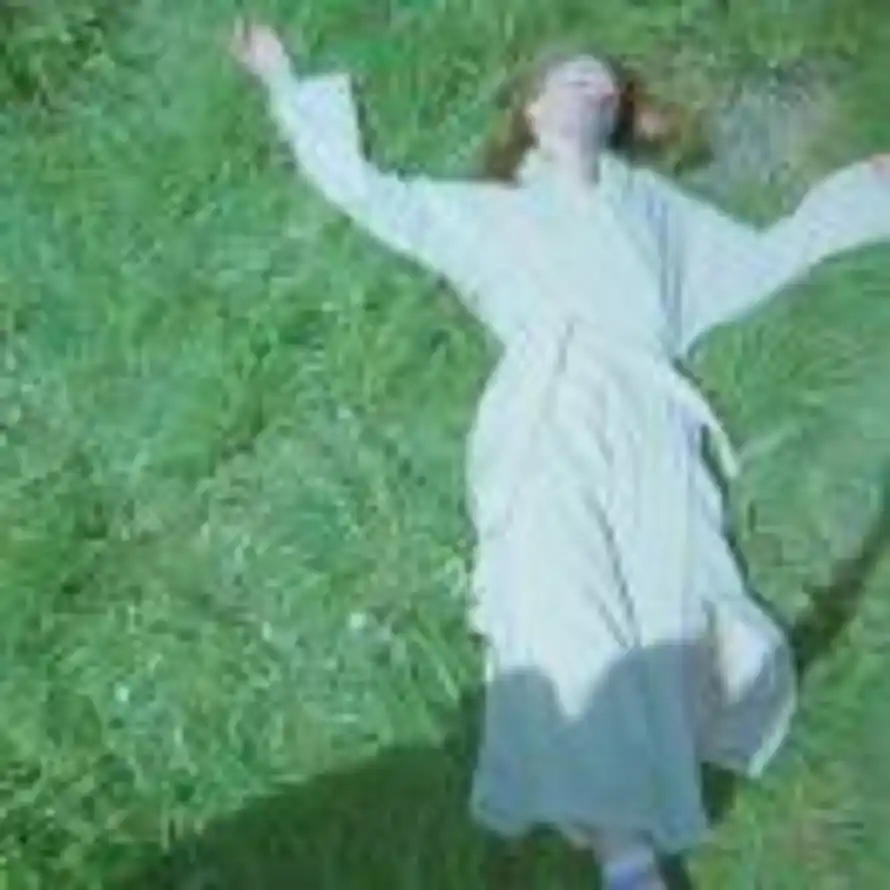 老胡子的夏天的头像