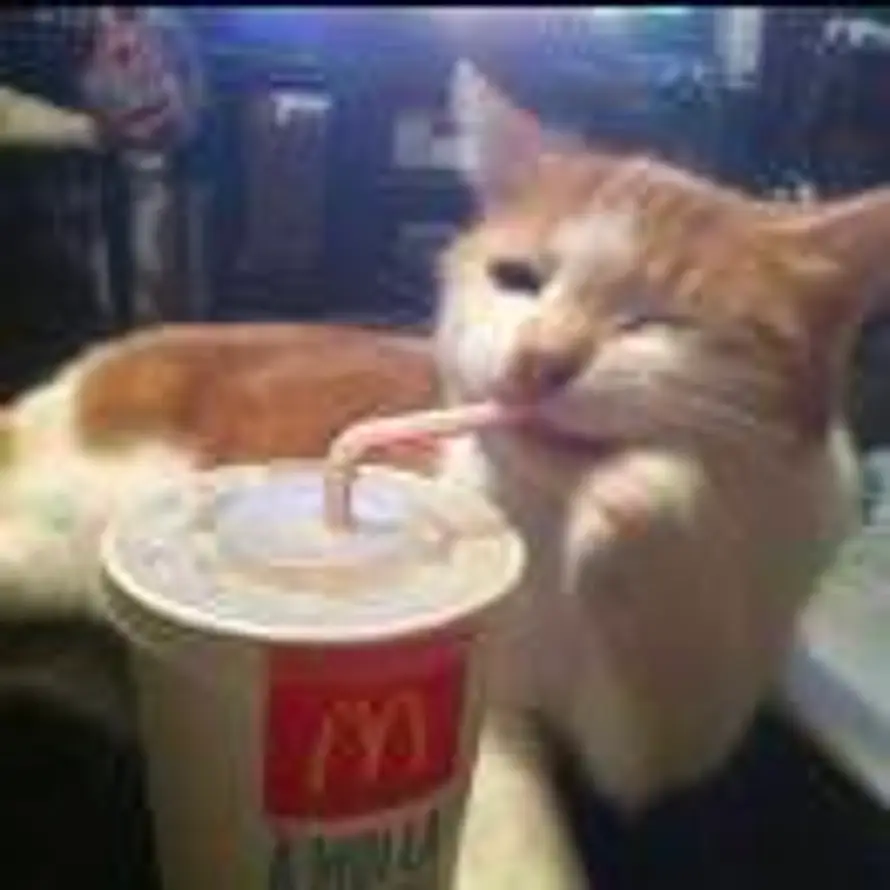 南山无梅落的头像