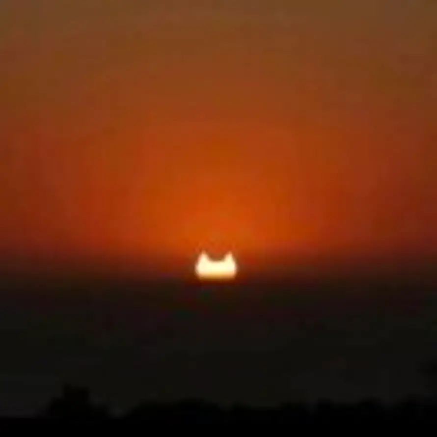 二十六畫生的头像