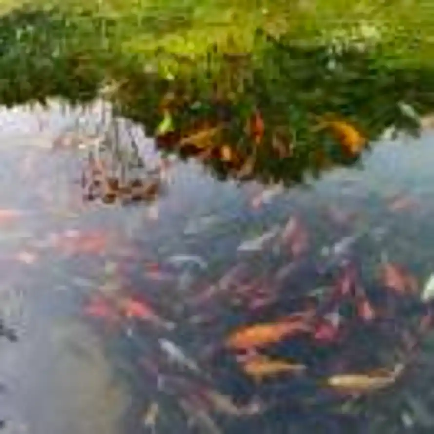 加浓冰美式的头像