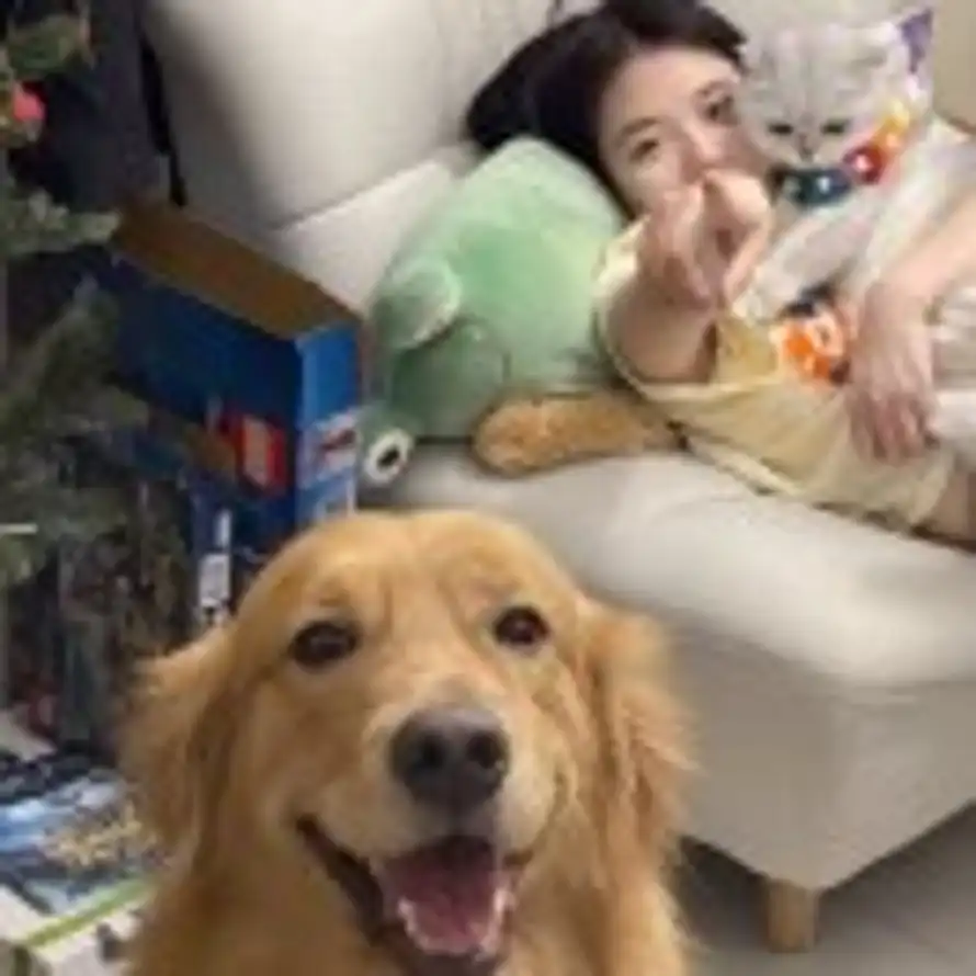 uu的头像