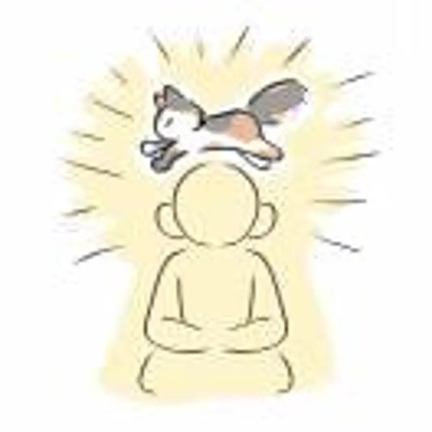 长君的头像