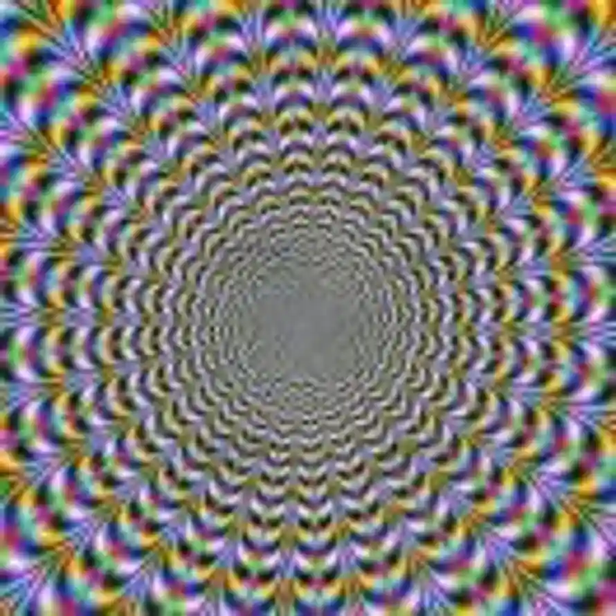 Zeno Lau ༽的头像