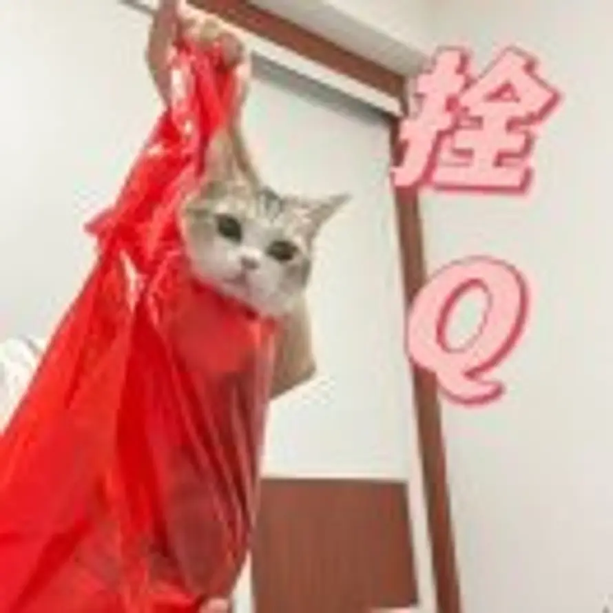 kuke就是焕的头像