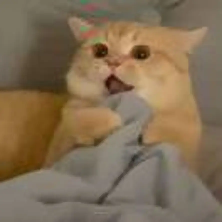 特让他也让的头像