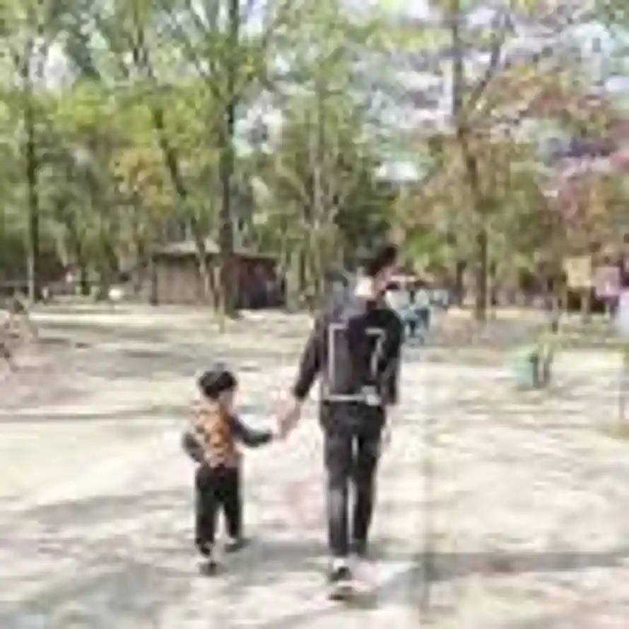 凌茗寒杨的头像