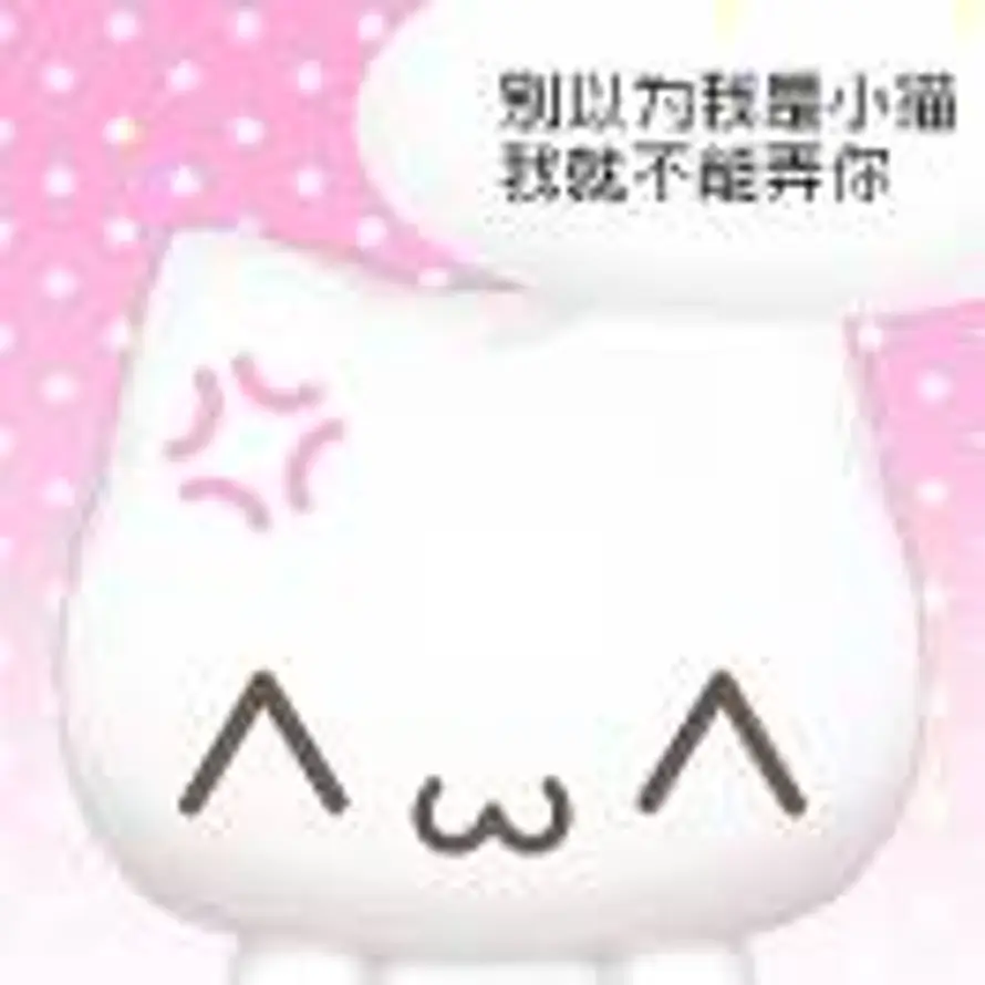 猫咪写信的头像
