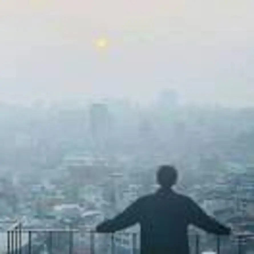 守甫的头像