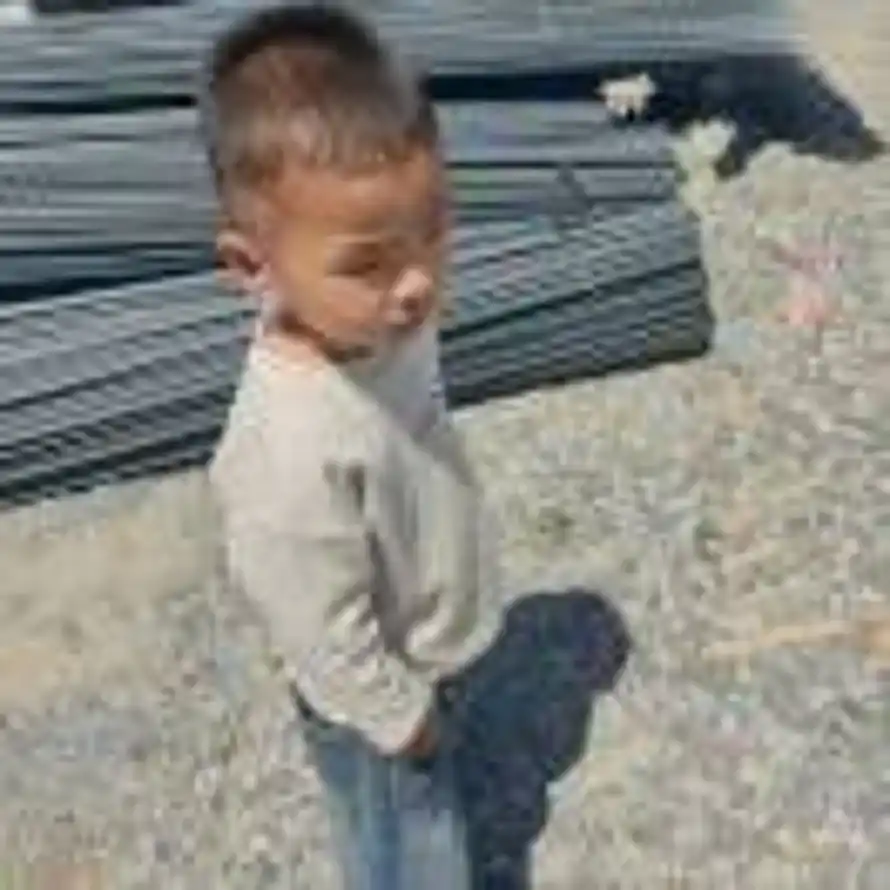 小朋友的Mr王的头像