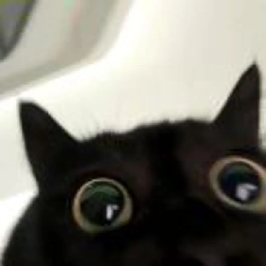 蹲蹲等等的头像